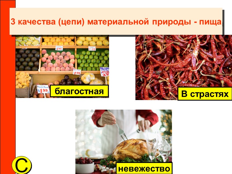 3 качества (цепи) материальной природы - пища C благостная В страстях невежество